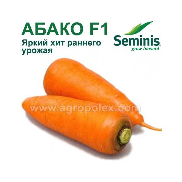 Абако: