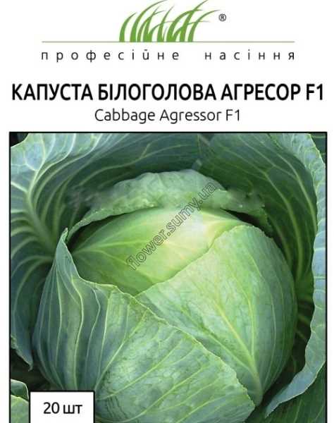 Описание
