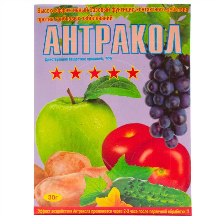 Основные