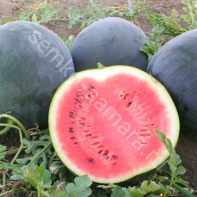 Описание