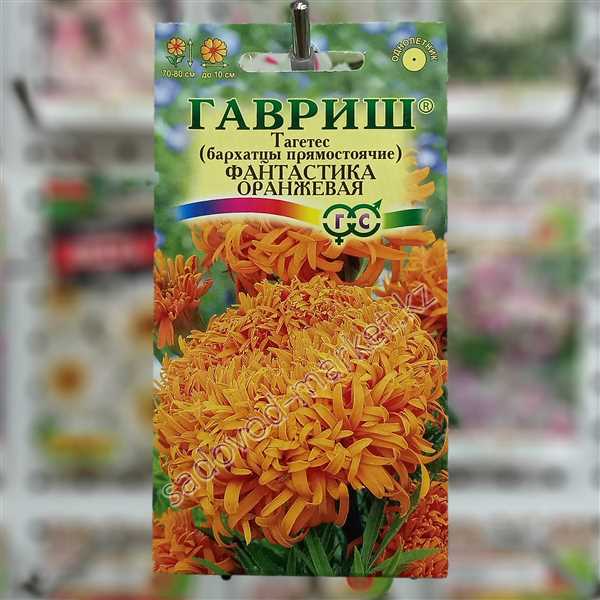 Аморфофаллус