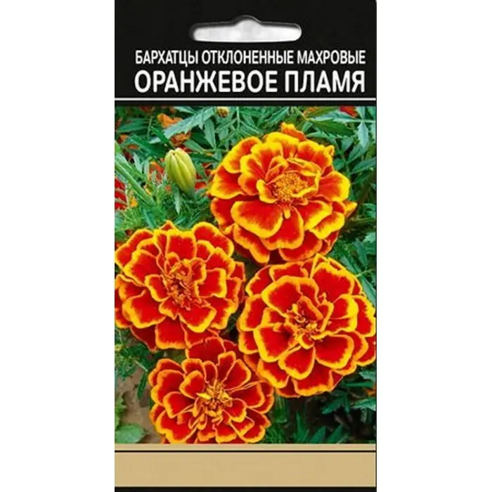 Особенности