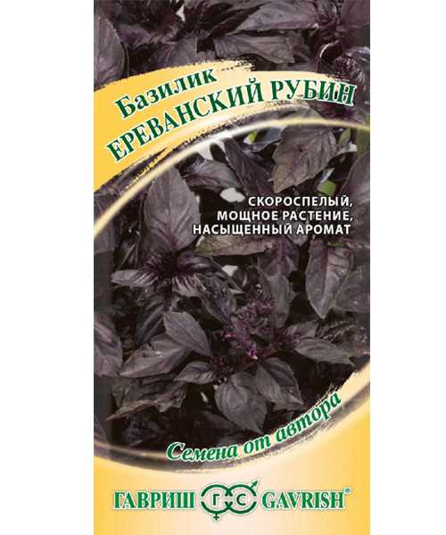 Базилик