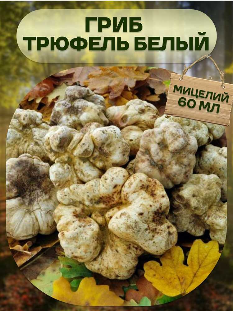 Рецепты