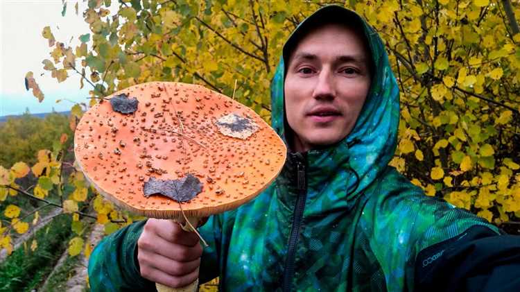 Повреждение