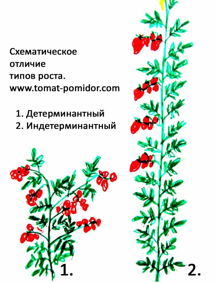 Разновидности