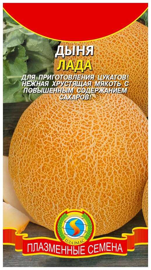 Отзывы