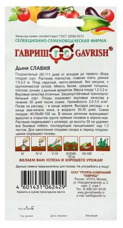 Дыня