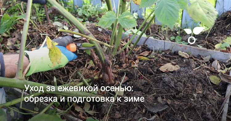 Осенние