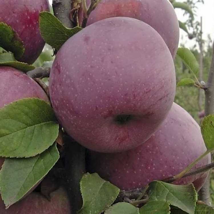 Уход