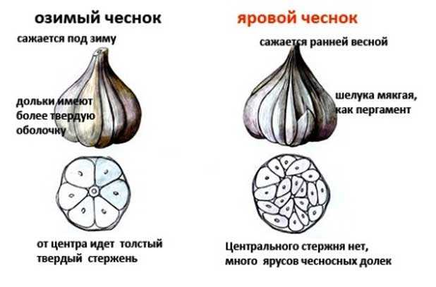 Освещение