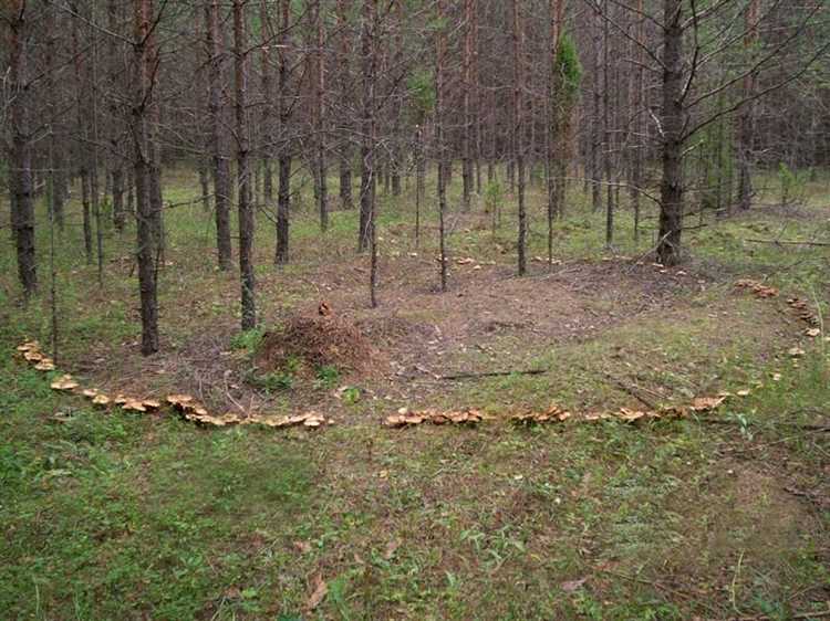 Способы
