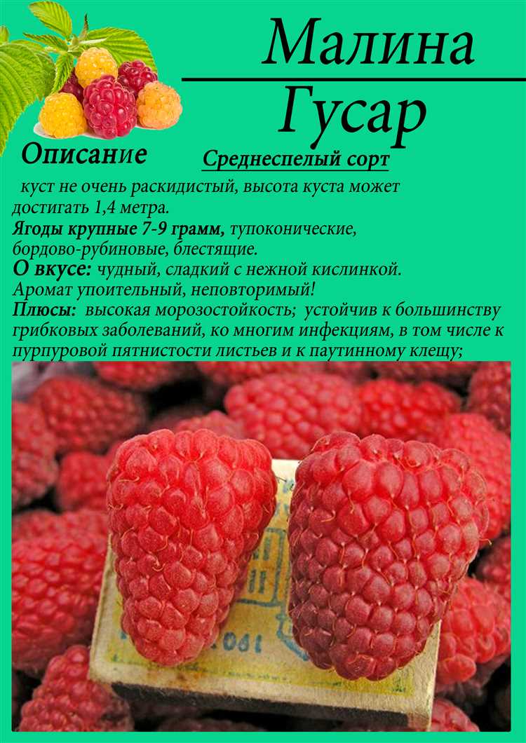 Характеристики