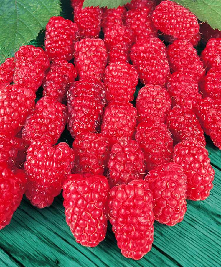 Гусар