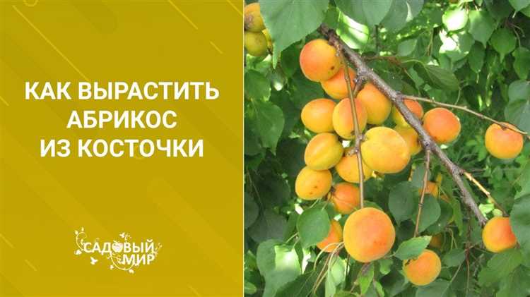 Подготовка