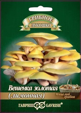 3.