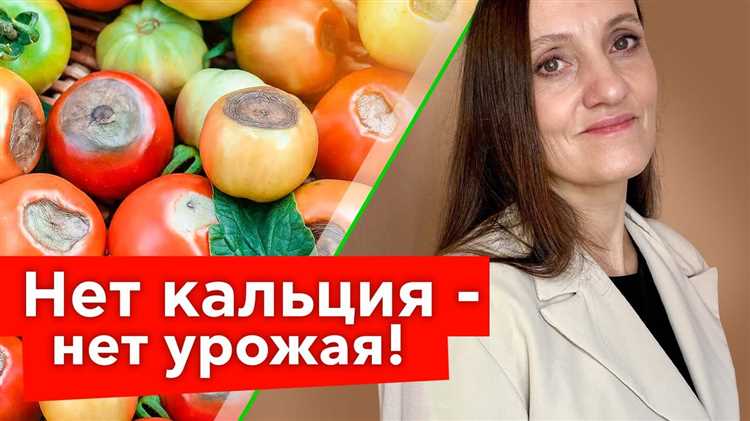Рецепты