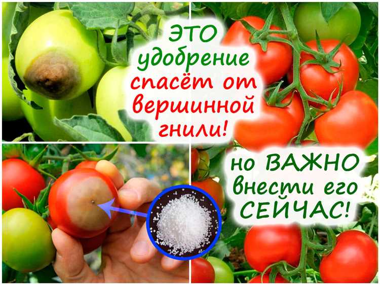 Почему