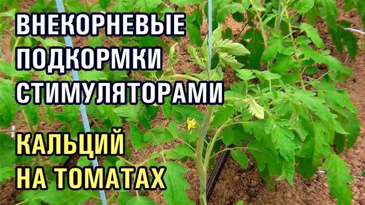 Дополнительные