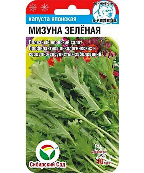 Капуста