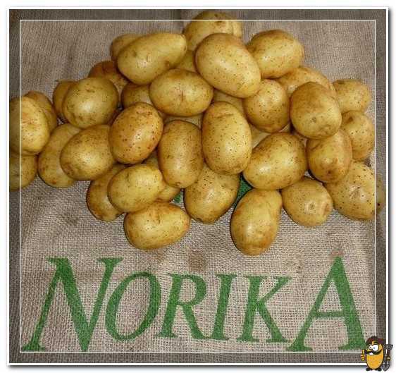 Рекомендации