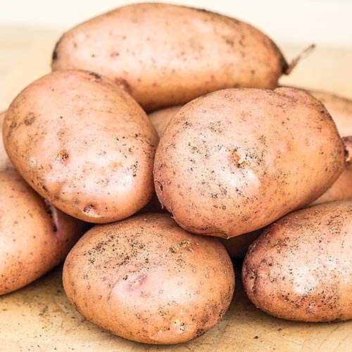 Характеристики,