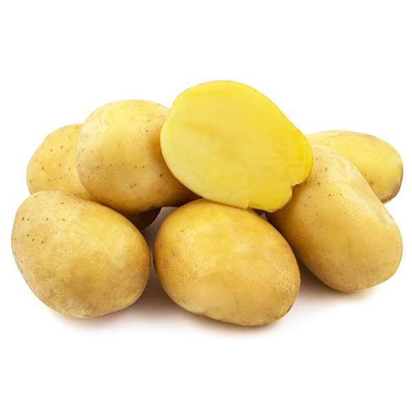 Советы