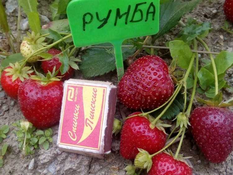 Отзывы