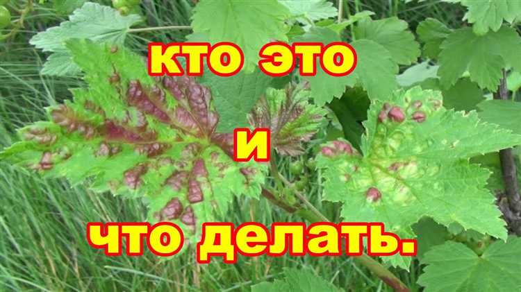 Вредоносные