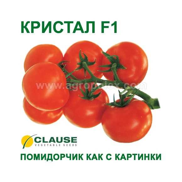 Кристалл