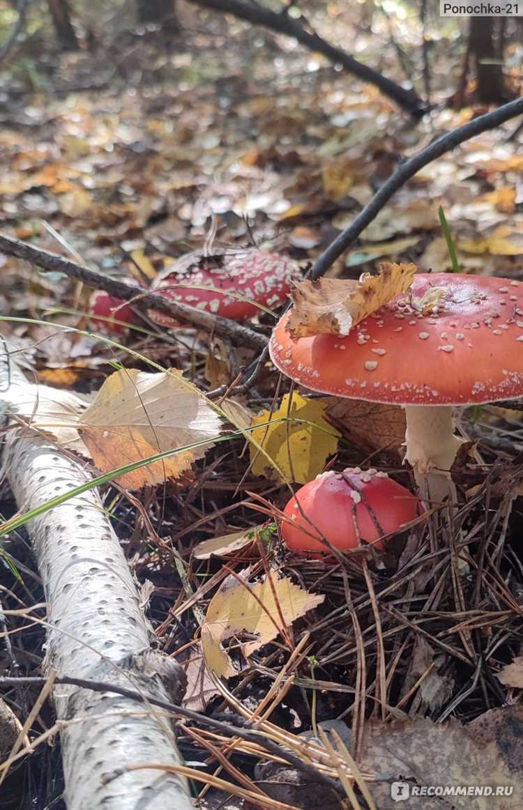 Популярное