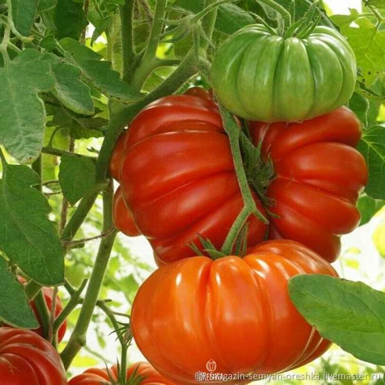 Кулинарные