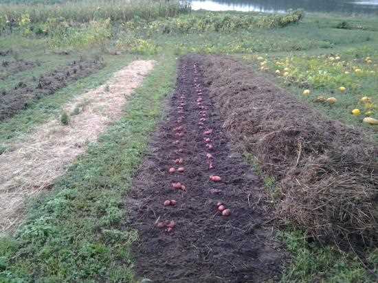 Улучшение