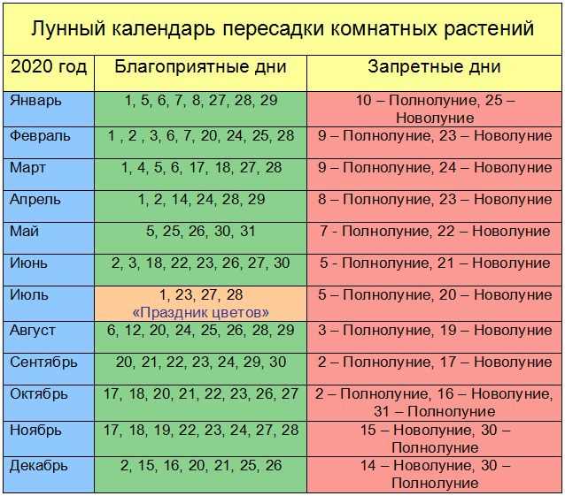 Подробная