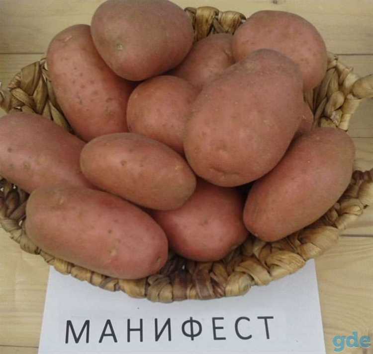 Преимущества