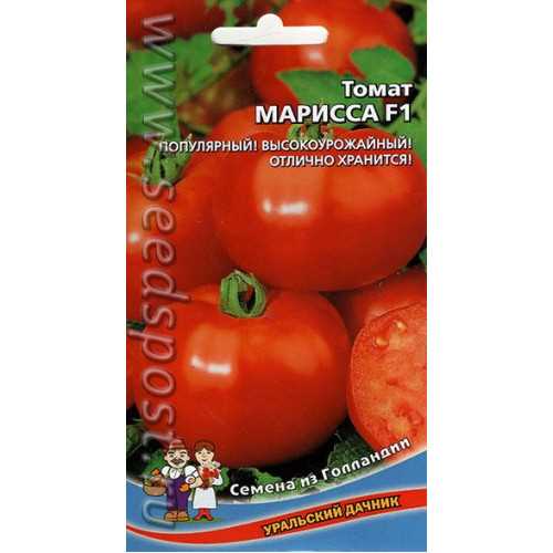 Марисса: