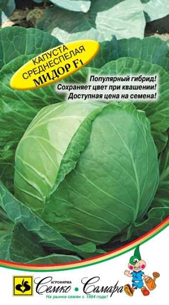 Узнайте,