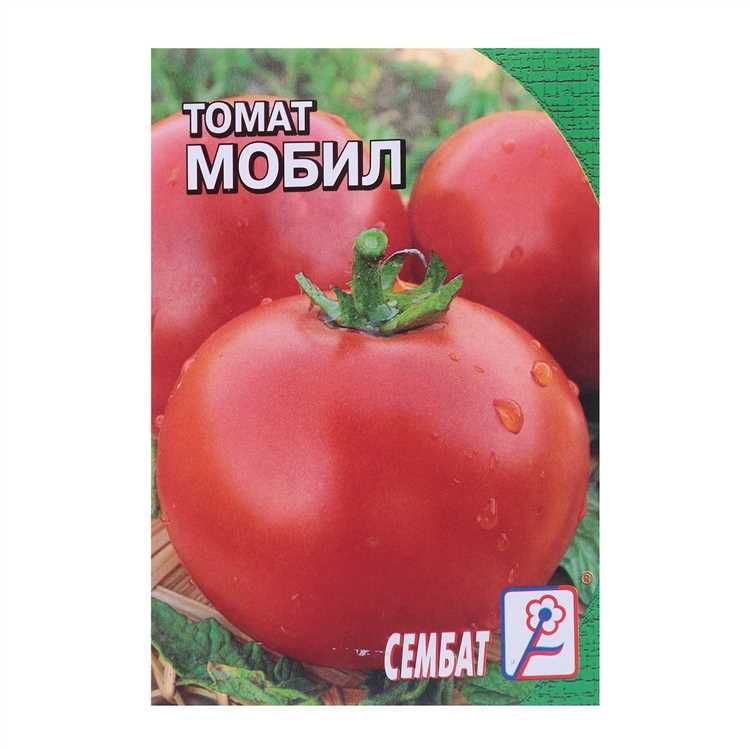 Рецепты