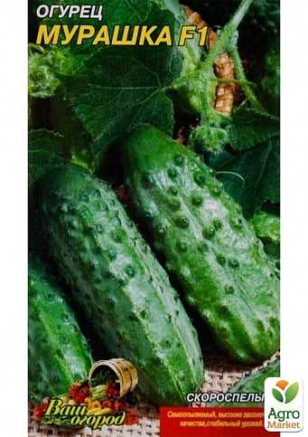 Лучшая