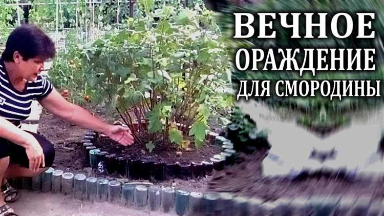 Выбор