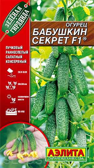 Действительность
