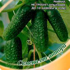 Огурцы
