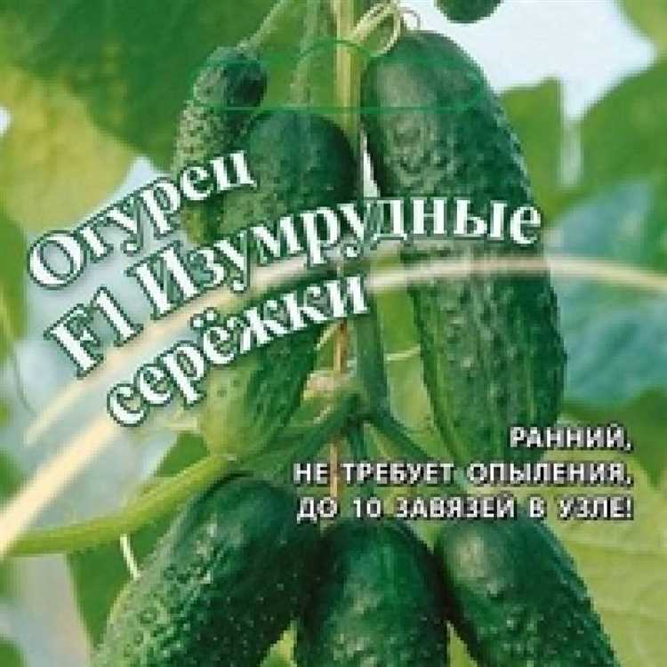 Рекомендации