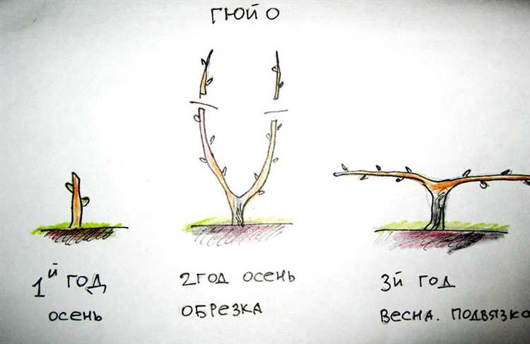 Техника