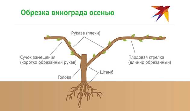 Важность