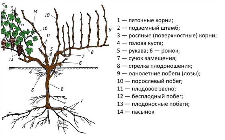 Подготовка