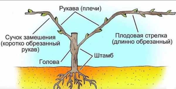 Важные