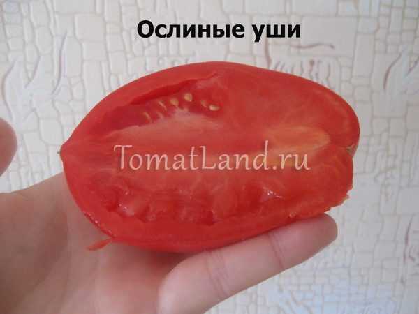 Ослиные