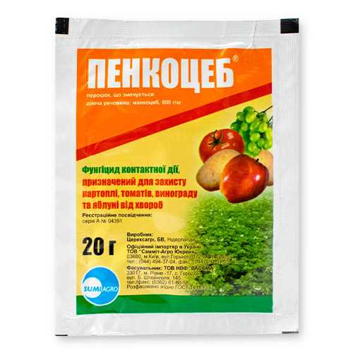 Определение