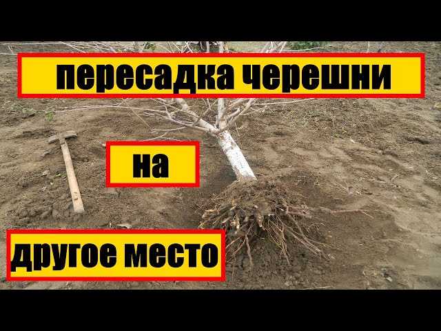 Подготовка
